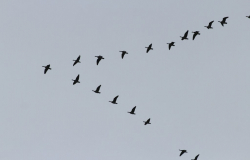 RLT Onsite | The value of teamwork…
